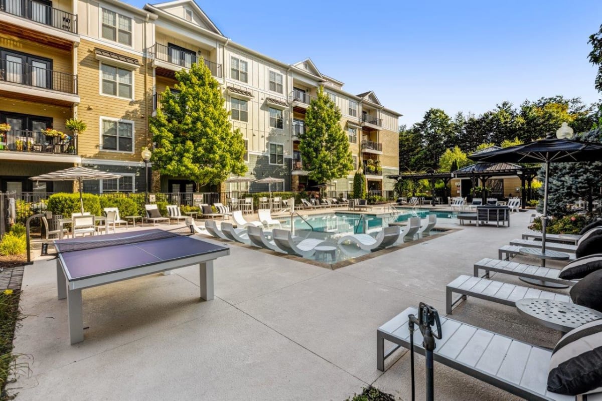 Photos and Video of Verde Vista in Asheville, NC